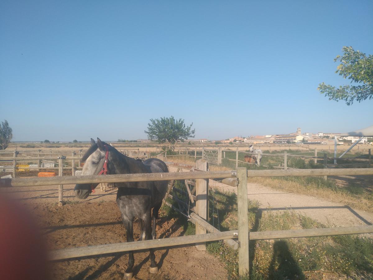 Ca L'Isidre Otel Anglesola Dış mekan fotoğraf